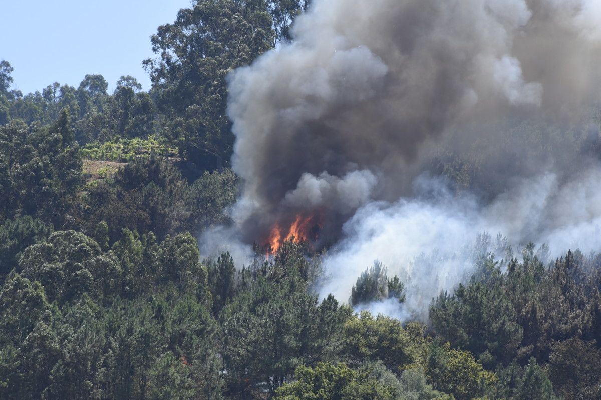 Incendio forestal en Ponte Sampaio