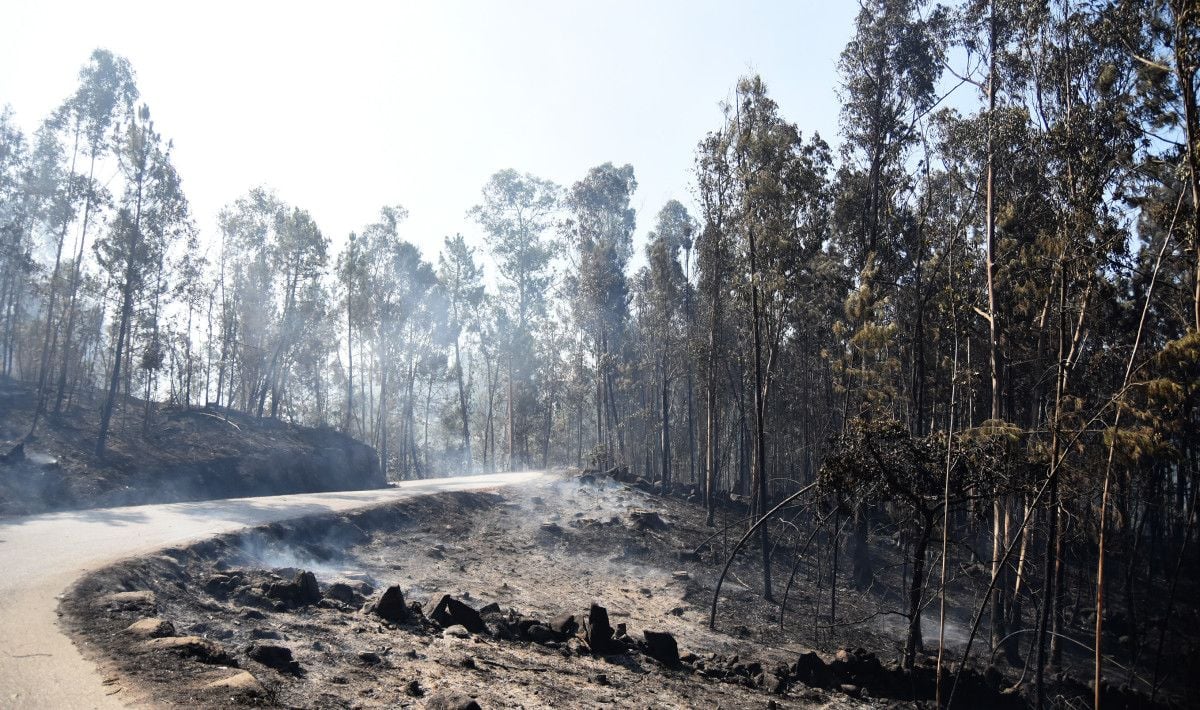 Superficie quemada en el incendio de Tenorio, en Cotobade