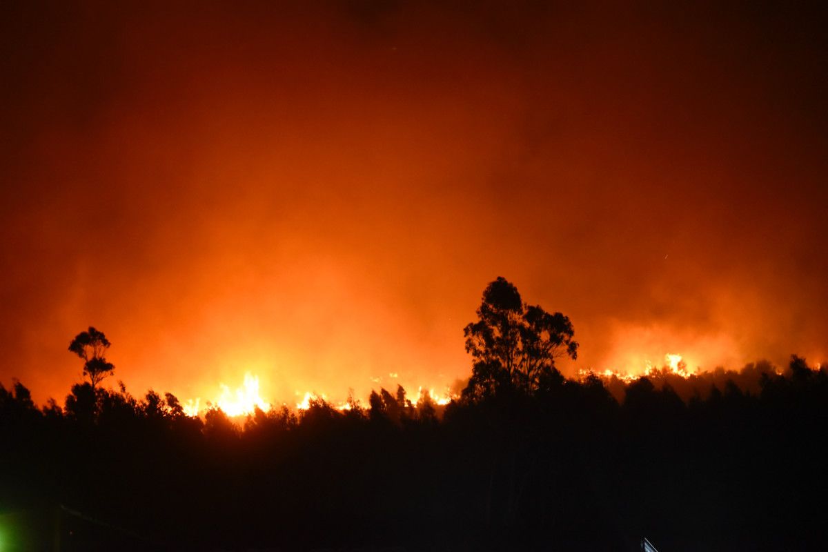 Incendio forestal