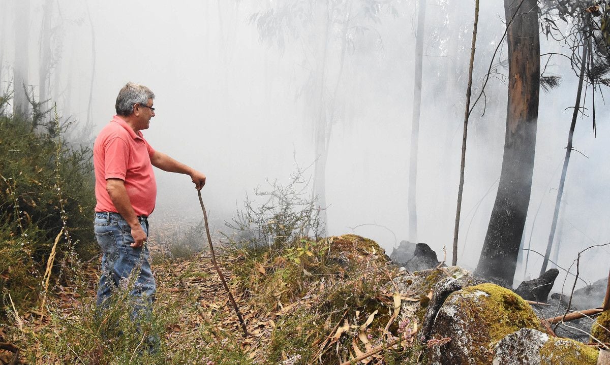 Tareas de extinción de un incendio en Tomeza