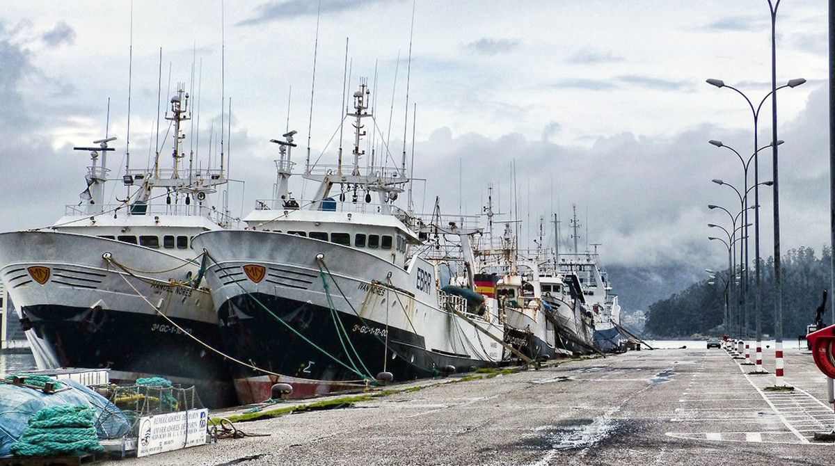 Barcos amarrados a porto