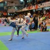 Combates de la segunda jornada del Campeonato de España de clubes de taekwondo