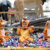 Batalla de Flores das Festas da Peregrina 2024