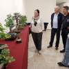 Muestra colectiva de bonsáis en el Pazo da Cultura