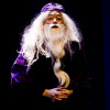 Representación do musical de Harry Potter en Afundación