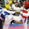 Open Cidade do Lérez de taekwondo no Príncipe Felipe