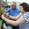 Tradicional procesión del Santiaguiño para recoger las uvas y el maíz
