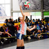 Campeonatos gallegos de voleibol