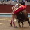 Feira da Peregrina 2024