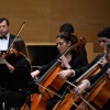 Concierto de año nuevo 2019 de la Orquesta Filharmónica Cidade de Pontevedra 