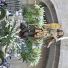 Imaxes da festa de San Miguel