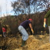 Voluntarios esparexen palla nos montes queimados en Ponte Caldelas