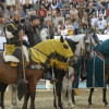 Torneo Medieval