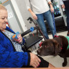 Senda, na intervención asistida con cans na residencia de Campolongo 