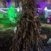 Iluminación de la Aldea de Nadal en Campo Lameiro