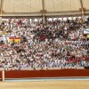 Aficionados y ambiente en la Feria de la Peregrina