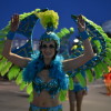 Desfile del Carnaval 2016 (II)