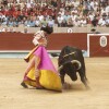 Feira da Peregrina 2024