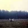 Fotos de los actos realizados en 1992 con motivo de la inauguración del Bosque de Colón en Poio