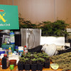 Marihuana e sistema de cultivo intervidos nunha plantación en Poio