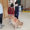 El alumnado trabajando con los animales de terapia