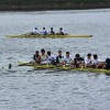 Primeira edición da Marín-Poio-Pontevedra Rowing Cup 