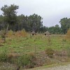 Parque Etnoarqueolóxico das Cabanas Prehistóricas de Outeiro das Mouras, en Salcedo