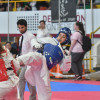 Más de 300 deportistas en el Open de Taekwondo del Príncipe Felipe.