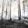 Tarefas de extinción dun lume en Tomeza