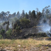 Incendio forestal en Castelo (Lérez)