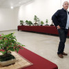Muestra colectiva de bonsáis en el Pazo da Cultura