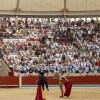 Feira da Peregrina 2024