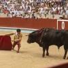 Feira da Peregrina 2024