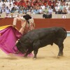 Feira da Peregrina 2024