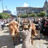 Feira Franca 2024