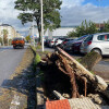 Daños de los temporales en Pontevedra