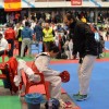 Combates da categoría senior do Campionato de España de clubs de taekwondo