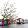 Los bomberos retiran un árbol que cayó sobre un coche en el Polígono do Campiño