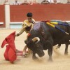 Feira da Peregrina 2024