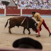 Feira da Peregrina 2024