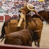 Feria de la Peregrina 2024