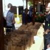 Reparto de plantas y compost en A Ferrería