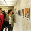 Exposición "Pontevedra no obxectivo"