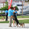 Primeira carreira benéfica canina Pontecan na Illa das Esculturas