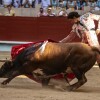 Feria de la Peregrina 2024