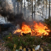 Incendio forestal en Postemirón