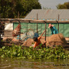 Lagoa Tonlé Sap, en Cambodia 