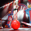 Gala de circo en A Ferrería