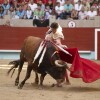 Feira da Peregrina 2024