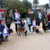 Presentación de las campañas de adopción de perros y gatos
